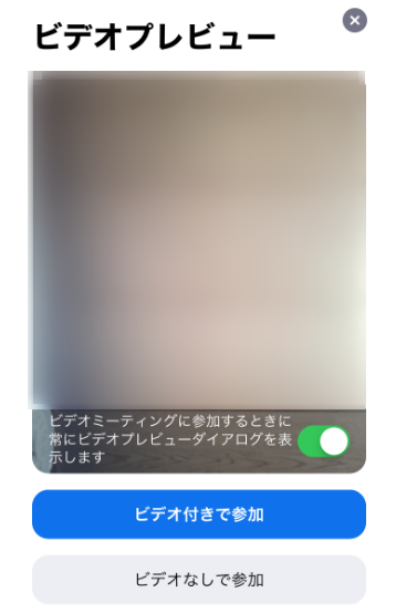 ビデオプレビュー